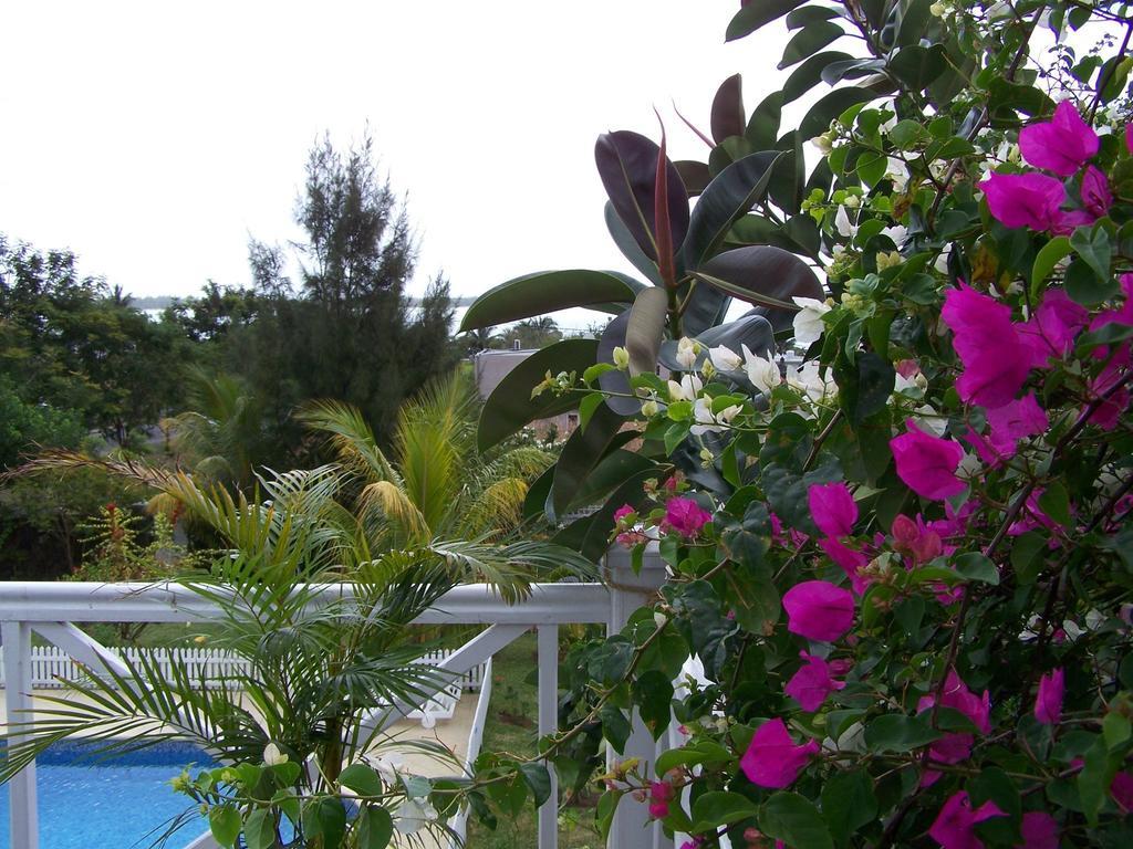 Bed And Breakfast Maison Papaye La Gaulette Εξωτερικό φωτογραφία