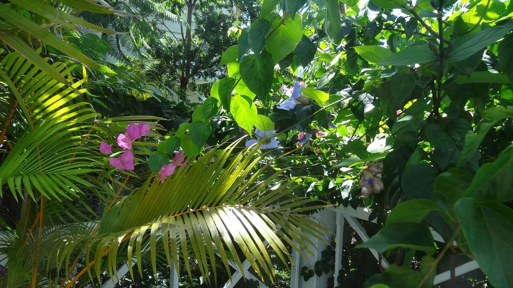 Bed And Breakfast Maison Papaye La Gaulette Εξωτερικό φωτογραφία