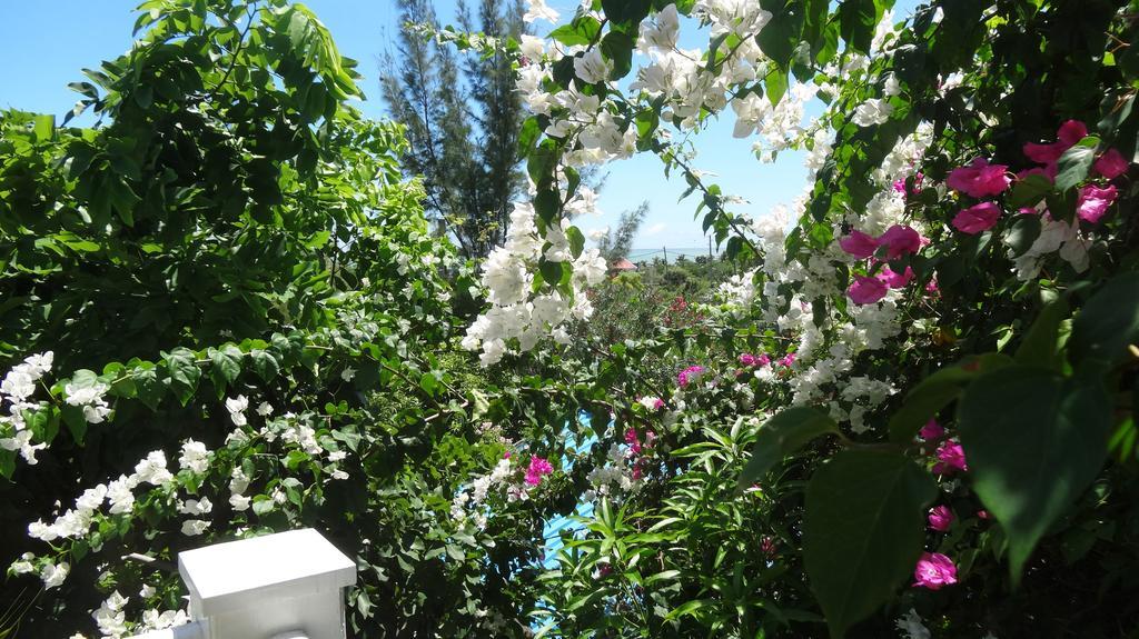 Bed And Breakfast Maison Papaye La Gaulette Εξωτερικό φωτογραφία